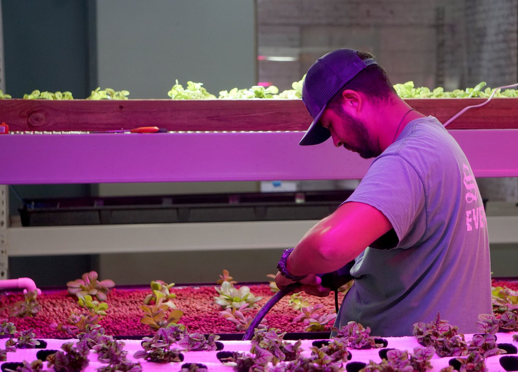 The Greencubator